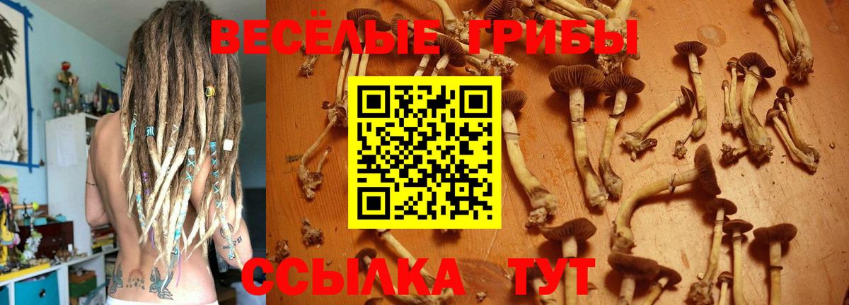 Печора  Галлюциногенные грибы Magic Shrooms  Вход с VPN 