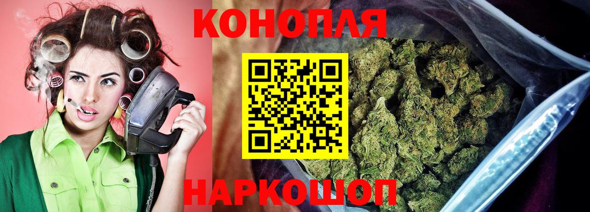 Конопля планчик Печора
